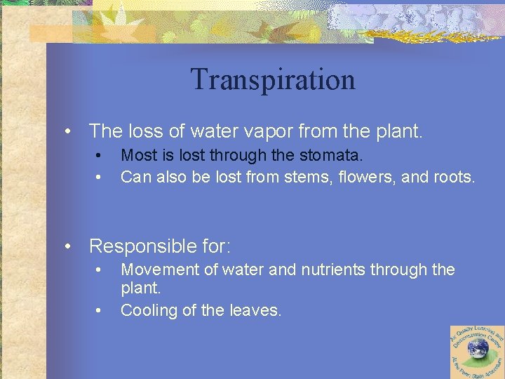 Transpiration • The loss of water vapor from the plant. • • Most is