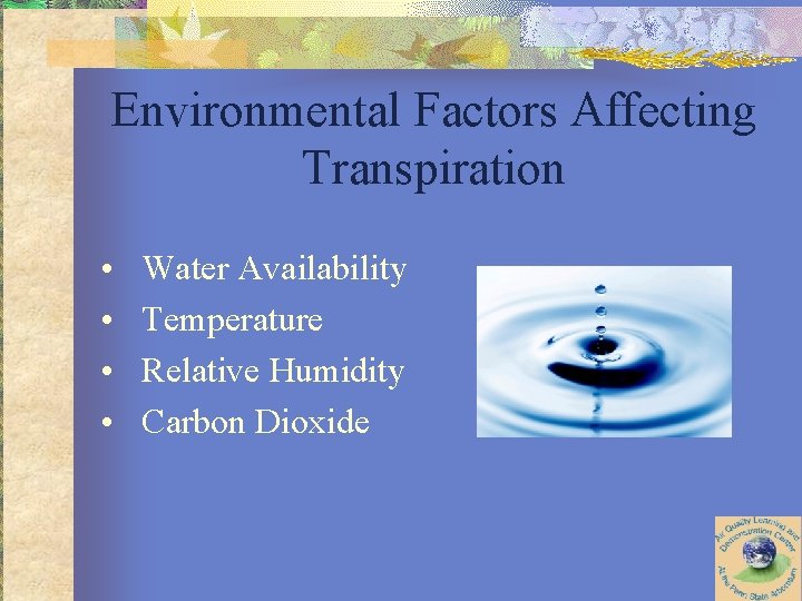 Environmental Factors Affecting Transpiration • • Water Availability Temperature Relative Humidity Carbon Dioxide 