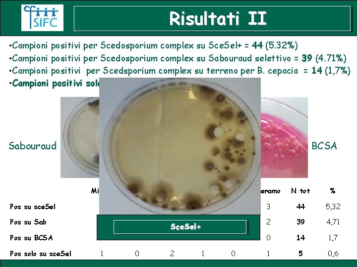 Risultati II • Campioni positivi per Scedosporium complex su Sce. Sel+ = 44 (5.