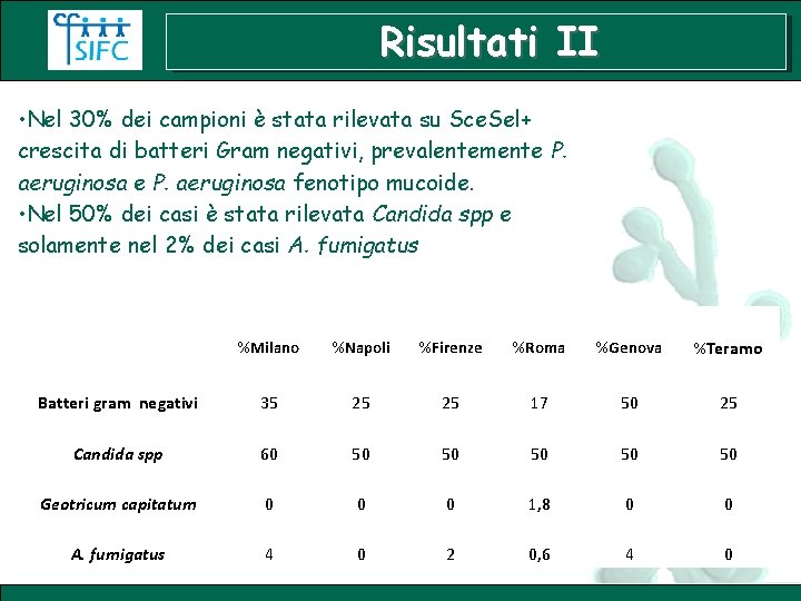 Risultati II • Nel 30% dei campioni è stata rilevata su Sce. Sel+ crescita