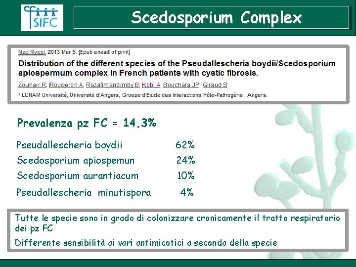 Scedosporium Complex Prevalenza pz FC = 14, 3% Pseudallescheria boydii 62% Scedosporium apiospemun 24%