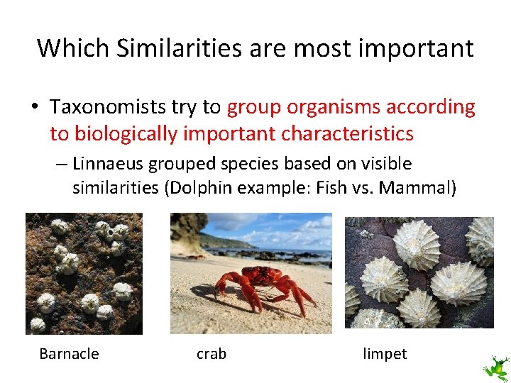 Which Similarities are most important • Taxonomists try to group organisms according to biologically