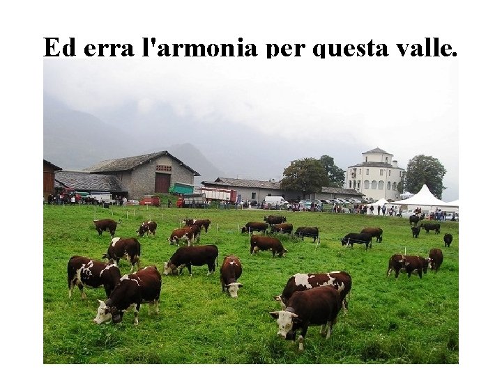 Ed erra l'armonia per questa valle. 