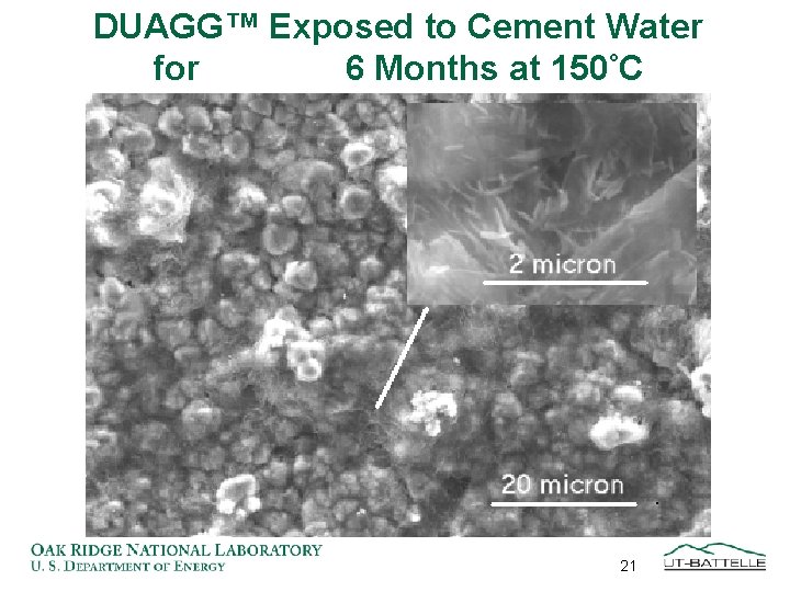 DUAGG™ Exposed to Cement Water for 6 Months at 150°C 21 