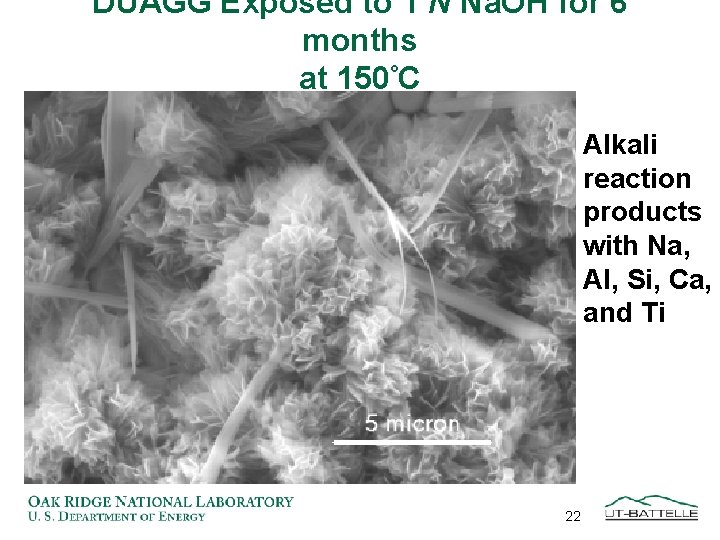 DUAGG Exposed to 1 N Na. OH for 6 months at 150°C Alkali reaction