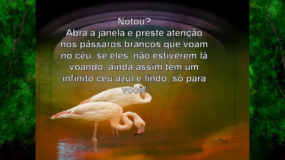 Notou? Abra a janela e preste atenção nos pássaros brancos que voam no céu,