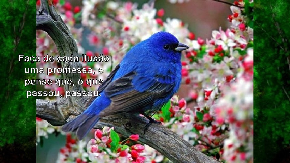 Faça de cada ilusão uma promessa, e pense que, o que passou, passou. 