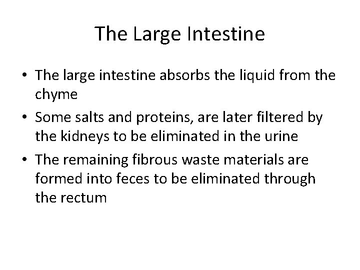 The Large Intestine • The large intestine absorbs the liquid from the chyme •