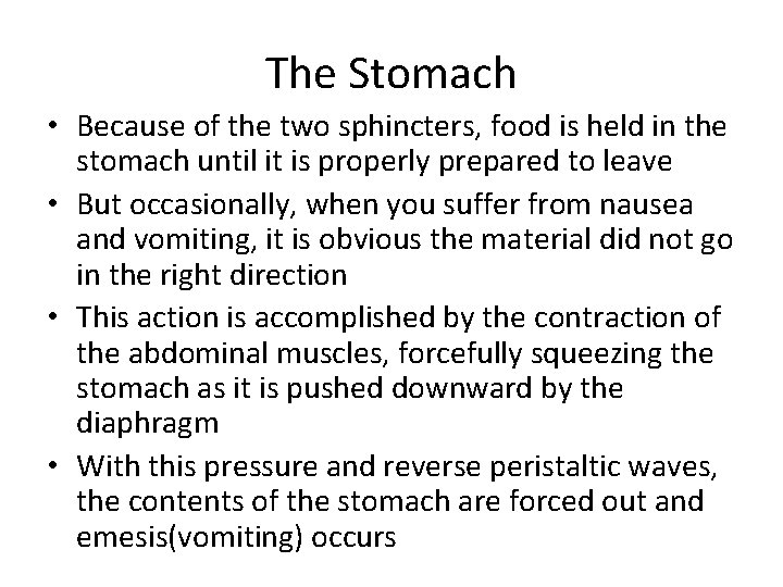 The Stomach • Because of the two sphincters, food is held in the stomach