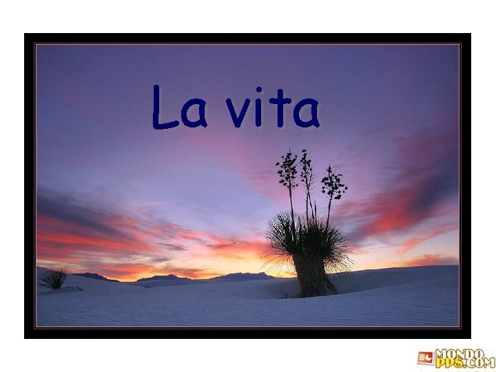 La vita 