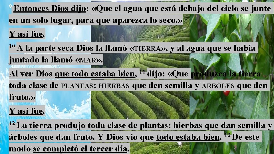 9 Entonces Dios dijo: «Que el agua que está debajo del cielo se junte