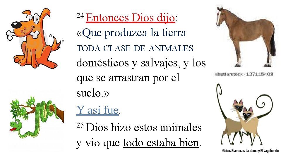 24 Entonces Dios dijo: «Que produzca la tierra TODA CLASE DE ANIMALES: domésticos y