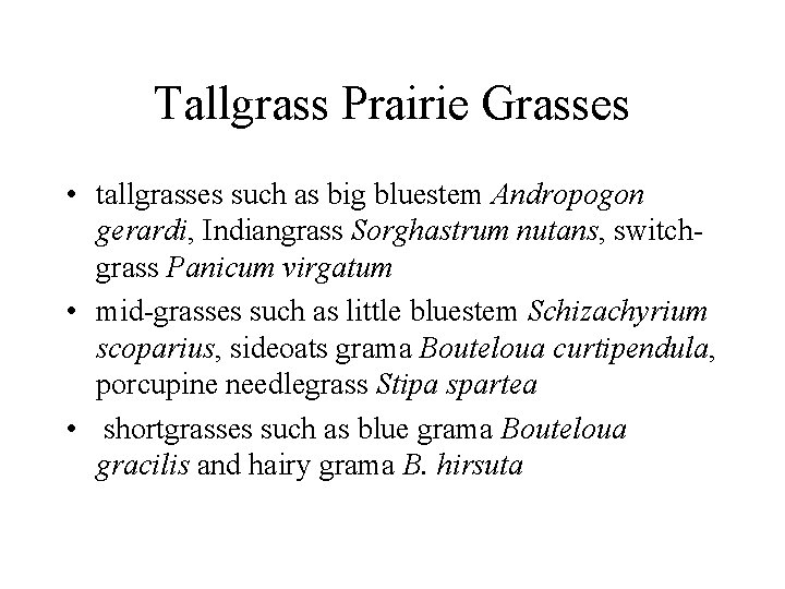 Tallgrass Prairie Grasses • tallgrasses such as big bluestem Andropogon gerardi, Indiangrass Sorghastrum nutans,