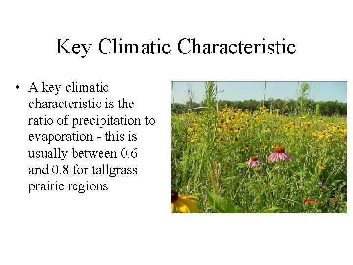 Key Climatic Characteristic • A key climatic characteristic is the ratio of precipitation to