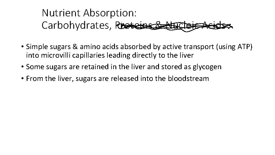Nutrient Absorption: Carbohydrates, Proteins & Nucleic Acids • Simple sugars & amino acids absorbed