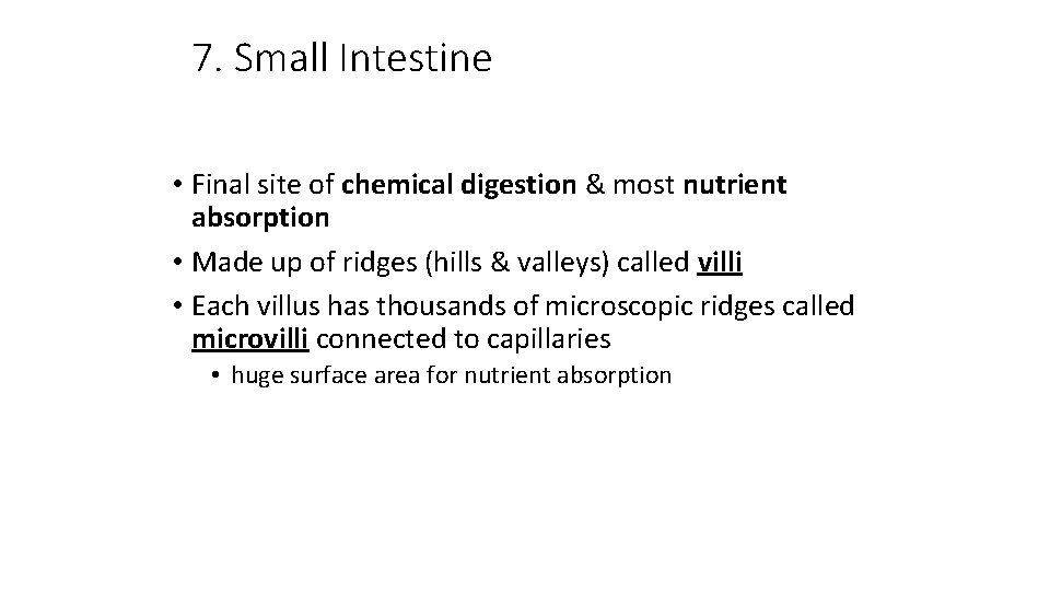 7. Small Intestine • Final site of chemical digestion & most nutrient absorption •