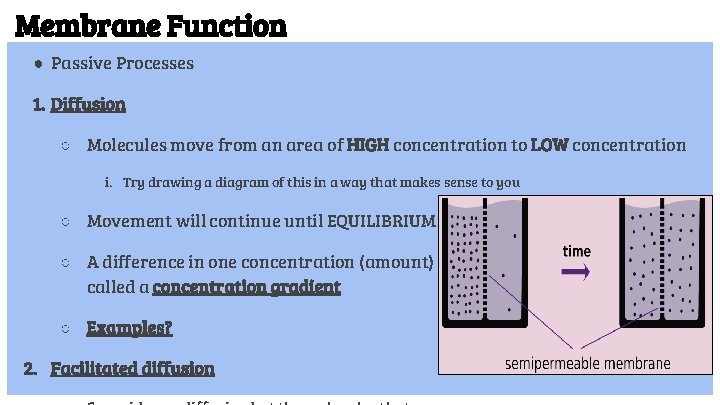 Passive Process Cell Membrane Diagram Draw a diagram of the