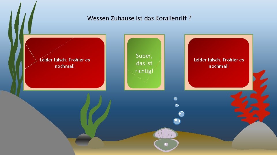 Wessen Zuhause ist das Korallenriff ? Leider falsch. Probier es nochmal! Super, das ist