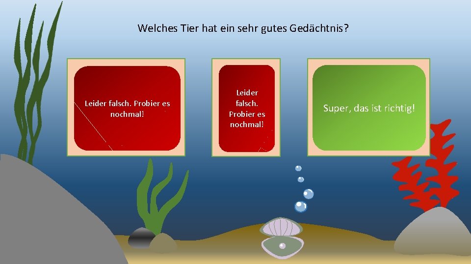 Welches Tier hat ein sehr gutes Gedächtnis? Leider falsch. Probier es nochmal! Super, das