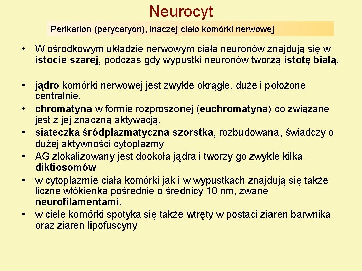 Neurocyt Perikarion (perycaryon), inaczej ciało komórki nerwowej • W ośrodkowym układzie nerwowym ciała neuronów