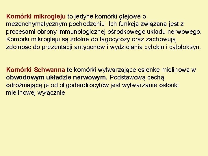 Komórki mikrogleju to jedyne komórki glejowe o mezenchymatycznym pochodzeniu. Ich funkcja związana jest z Komórki mikrogleju to jedyne komórki glejowe o mezenchymatycznym pochodzeniu. Ich funkcja związana jest z