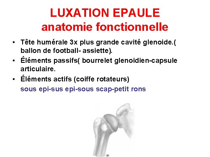 LUXATION EPAULE anatomie fonctionnelle • Tête humérale 3 x plus grande cavité glenoide. (