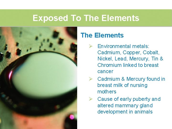 Exposed To The Elements Ø Environmental metals: Cadmium, Copper, Cobalt, Nickel, Lead, Mercury, Tin