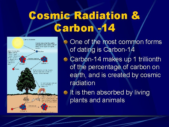 Cosmic Radiation & Carbon -14 One of the most common forms of dating is