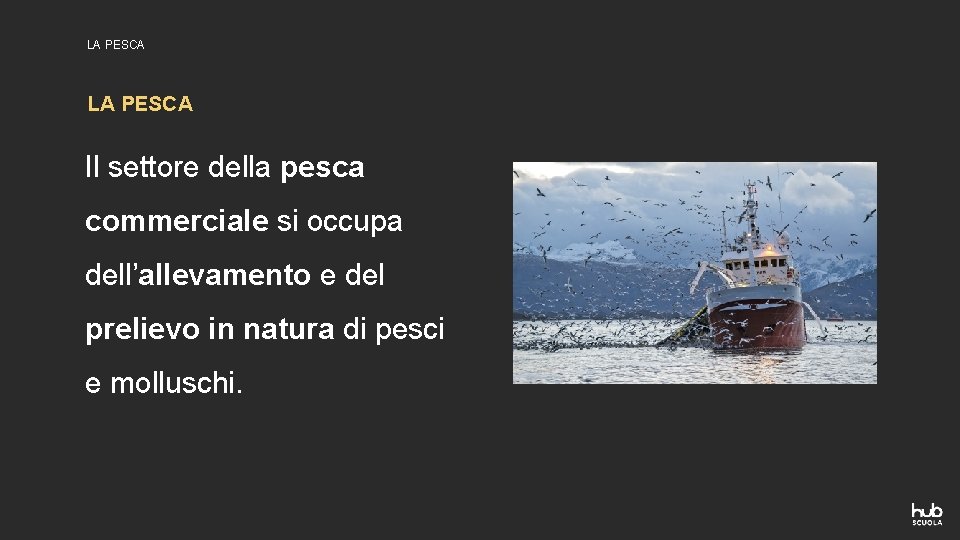 LA PESCA Il settore della pesca commerciale si occupa dell’allevamento e del prelievo in