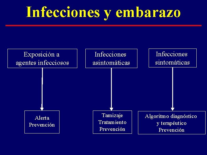 Infecciones y embarazo Exposición a agentes infecciosos Infecciones asintomáticas Infecciones sintomáticas Alerta Prevención Tamizaje