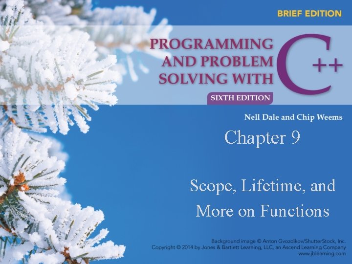 Chapter 9 Scope Lifetime and More on Functions
