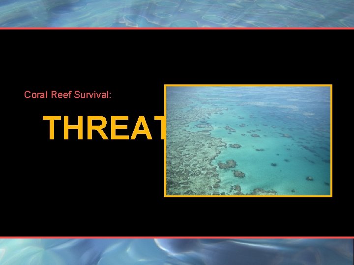 Coral Reef Survival: THREATS 