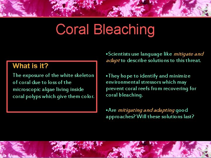 Coral Bleaching What is it? The exposure of the white skeleton of coral due