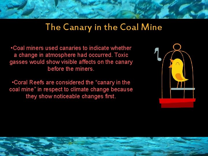 The Canary in the Coal Mine • Coal miners used canaries to indicate whether