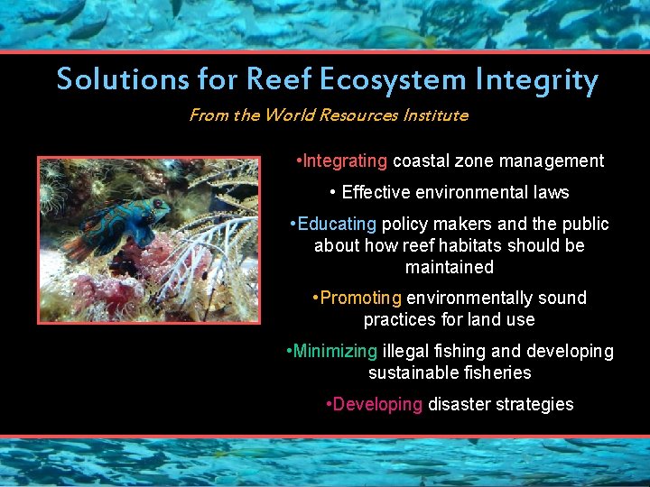Solutions for Reef Ecosystem Integrity From the World Resources Institute • Integrating coastal zone