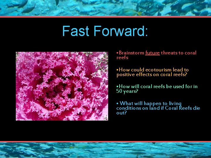 Fast Forward: • Brainstorm future threats to coral reefs • How could ecotourism lead