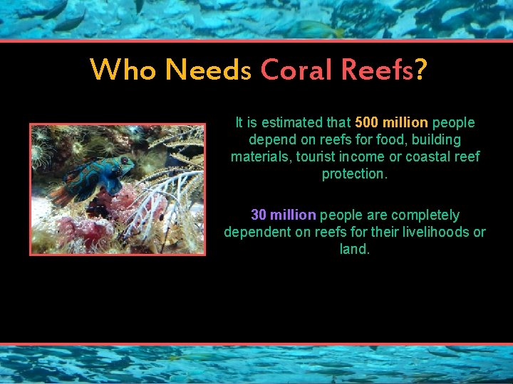 Who Needs Coral Reefs? It is estimated that 500 million people depend on reefs