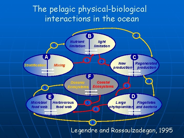 The pelagic physical-biological interactions in the ocean 2 B 1 Nutrient limitation A Stratification