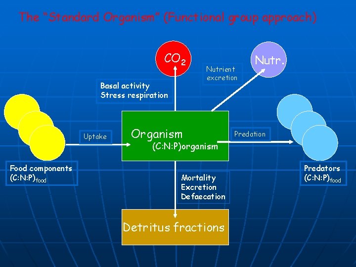 The “Standard Organism” (Functional group approach) CO 2 Basal activity Stress respiration Uptake Food