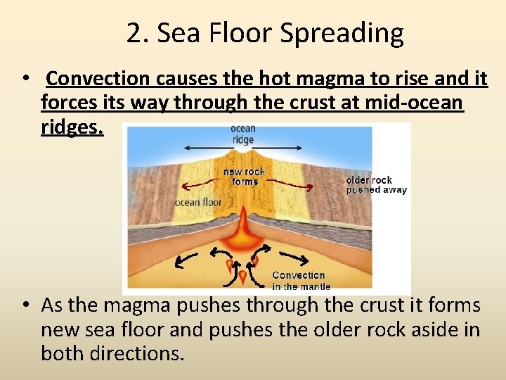 2. Sea Floor Spreading • Convection causes the hot magma to rise and it