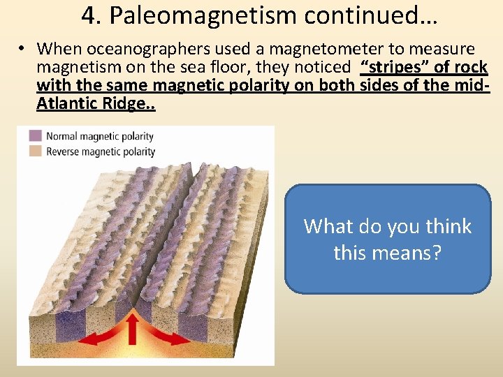 4. Paleomagnetism continued… • When oceanographers used a magnetometer to measure magnetism on the