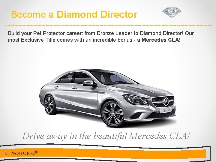 Become a Diamond Director Build your Pet Protector career: from Bronze Leader to Diamond