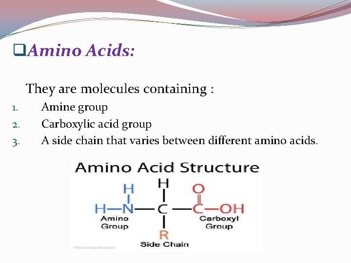 q. Amino Acids: They are molecules containing : 1. 2. 3. Amine group Carboxylic