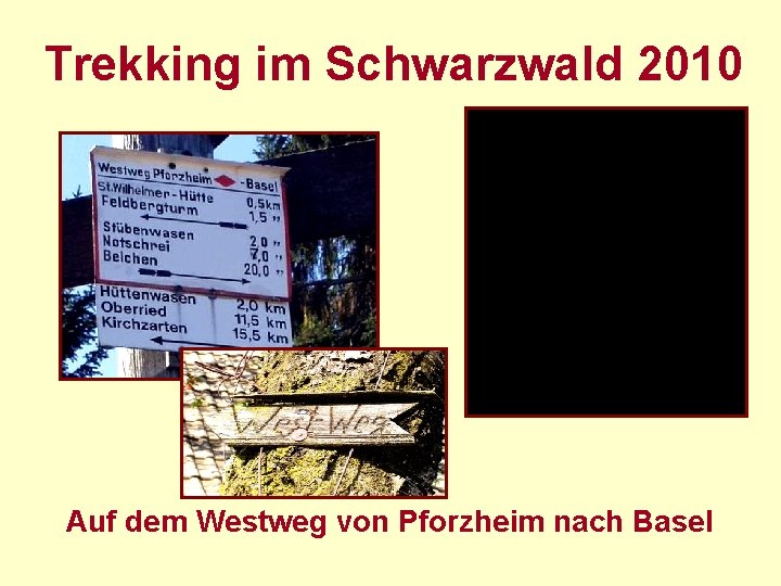 Trekking im Schwarzwald 2010 Auf dem Westweg von Pforzheim nach Basel 