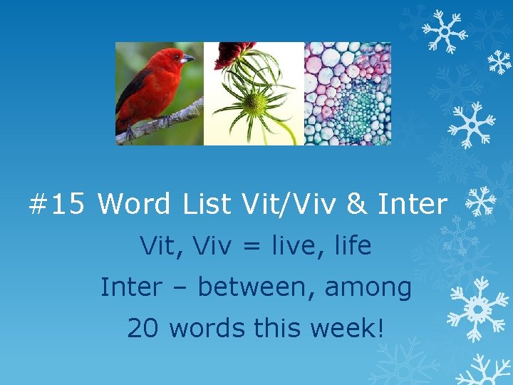 #15 Word List Vit/Viv & Inter Vit, Viv = live, life Inter – between,