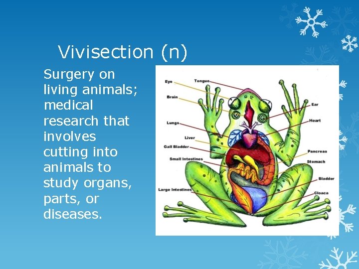 Vivisection (n) Surgery on living animals; medical research that involves cutting into animals to
