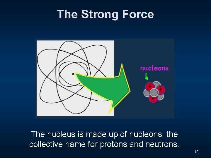 The Strong Force The nucleus is made up of nucleons, the collective name for