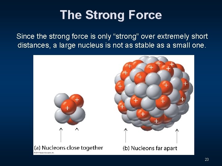 The Strong Force Since the strong force is only “strong” over extremely short distances,