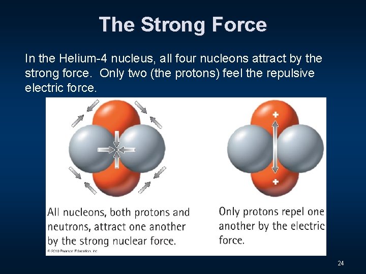 The Strong Force In the Helium-4 nucleus, all four nucleons attract by the strong