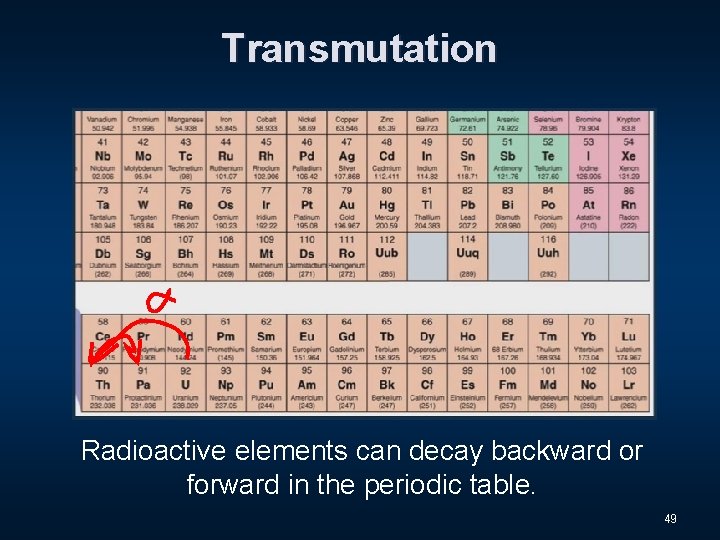 Transmutation Radioactive elements can decay backward or forward in the periodic table. 49 